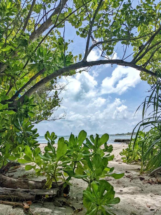 Hotel Dhoadhi Retreat Thulusdhoo Exteriér fotografie