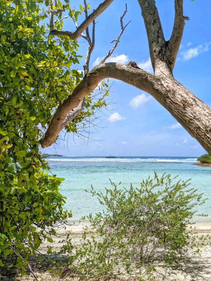 Hotel Dhoadhi Retreat Thulusdhoo Exteriér fotografie